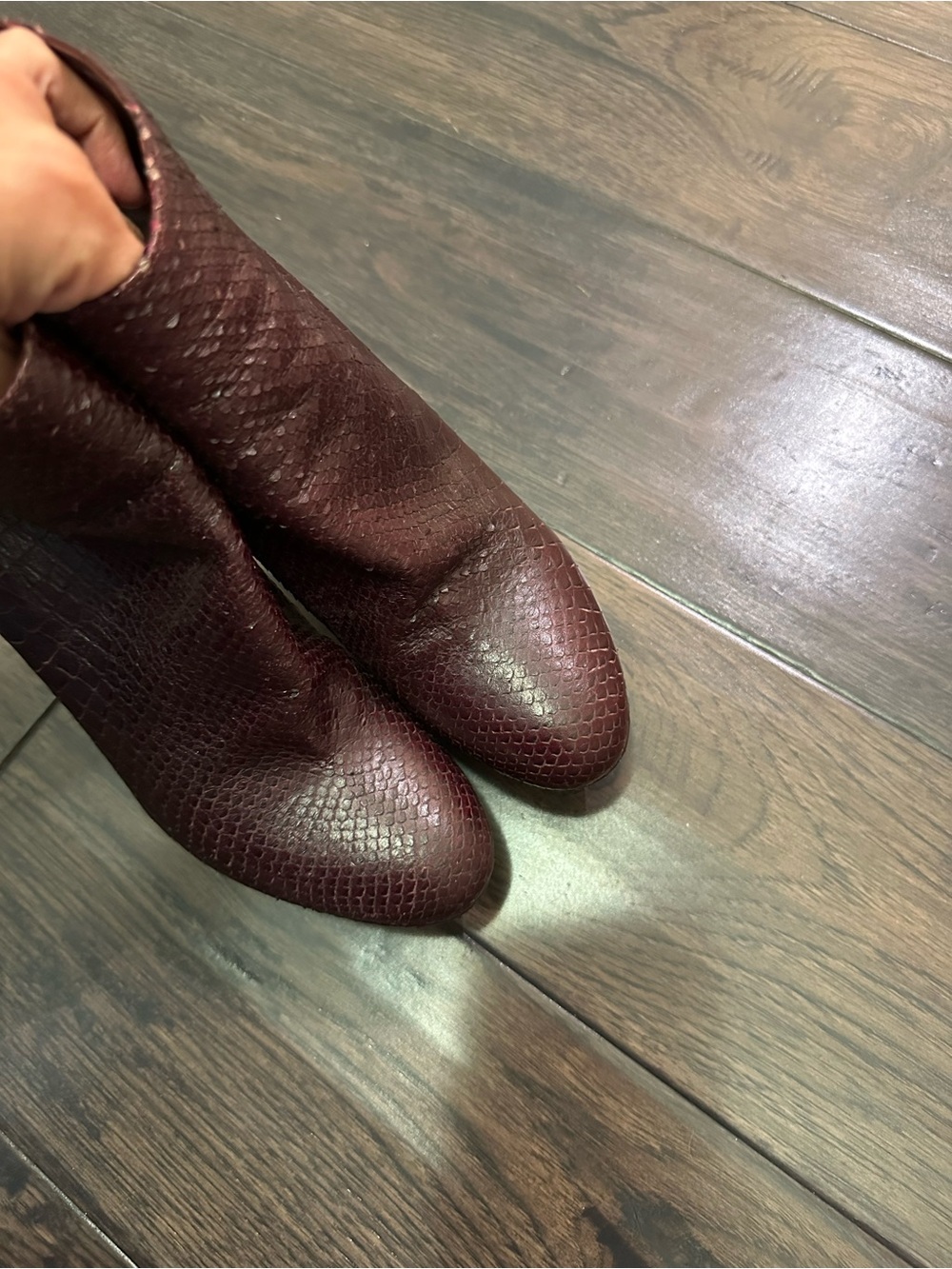 - DIOR ✨Mulberry Python ankle boots - Picture 4 of 6